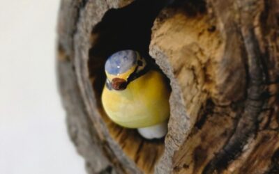 Zastavte se Café MARTIN Karlín – výstava J.Petrovického