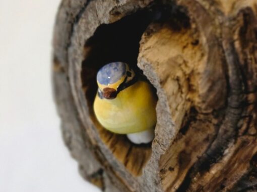 Zastavte se Café MARTIN Karlín – výstava J.Petrovického