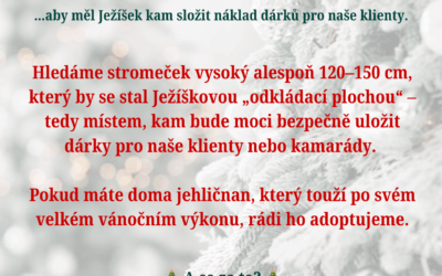 🎄 HLEDÁ SE STROMEČEK! 🎄