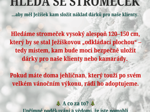 🎄 HLEDÁ SE STROMEČEK! 🎄